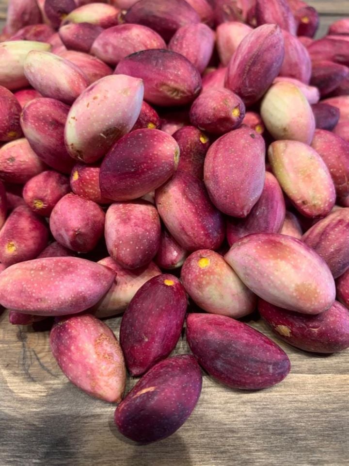 Taze Antep Fıstığı 2 Kg