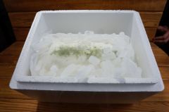 Maraş Dondurmamız 500 Gram