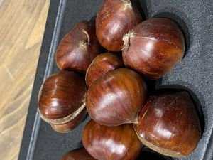 Kestane