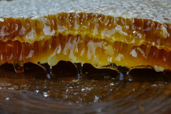 Çemikari Yaylası Pervari Karakovan Balı 2550 gr - 2700 gr arası (3 çömlek)