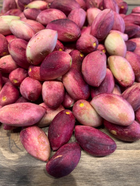 Taze Antep Fıstığı 500 gr